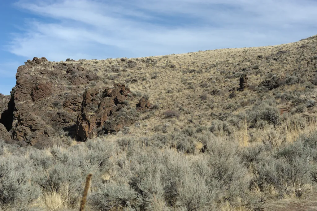 Easy, just follow the trail