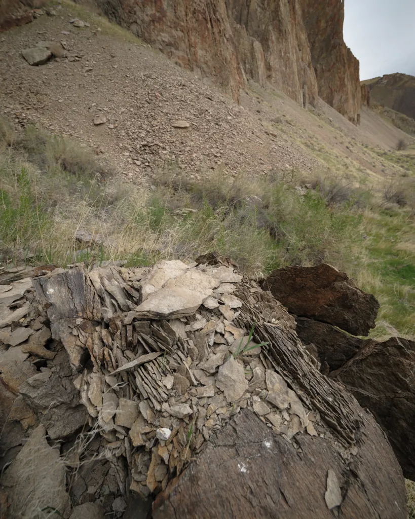Flaking rock