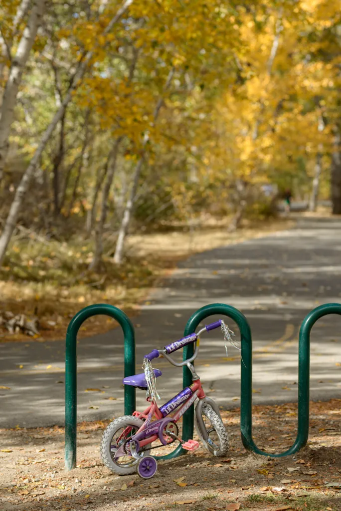 Bicycle parking