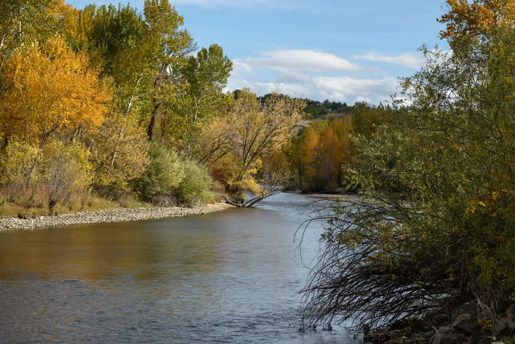 Autumn upriver