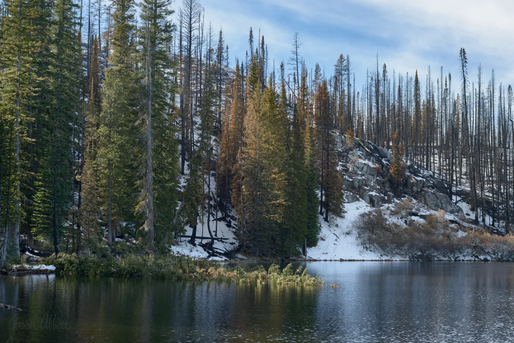 Burn around Little Trinity Lake