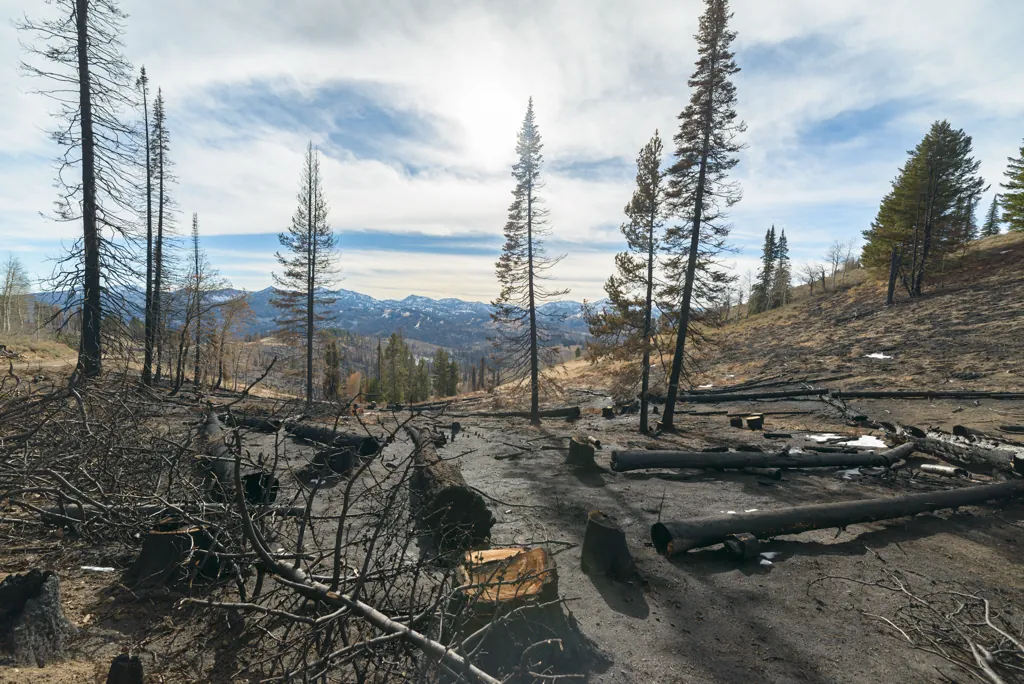 Looking back to the Trinity Recreation Area
