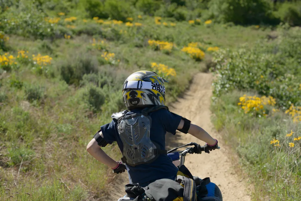 Trail Four detour