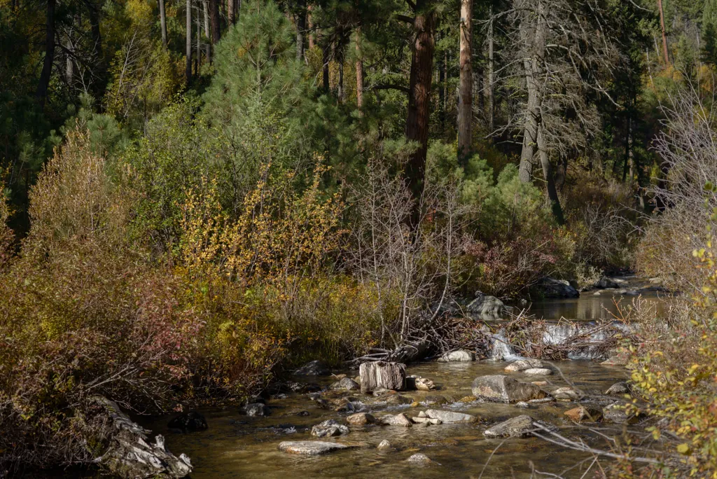 Rabbit Creek