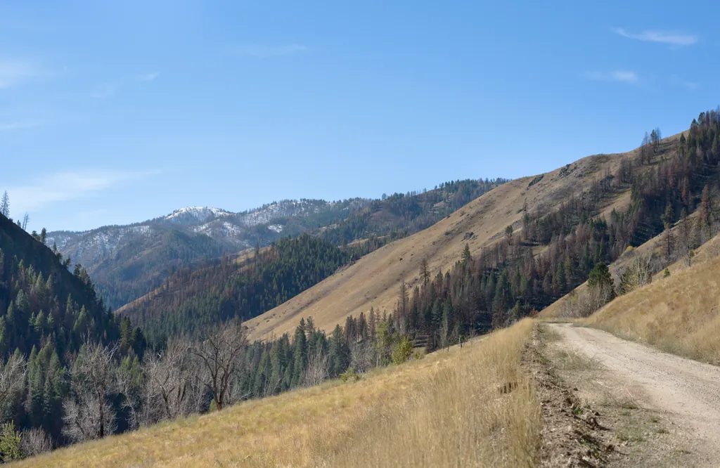 Roaring River Road