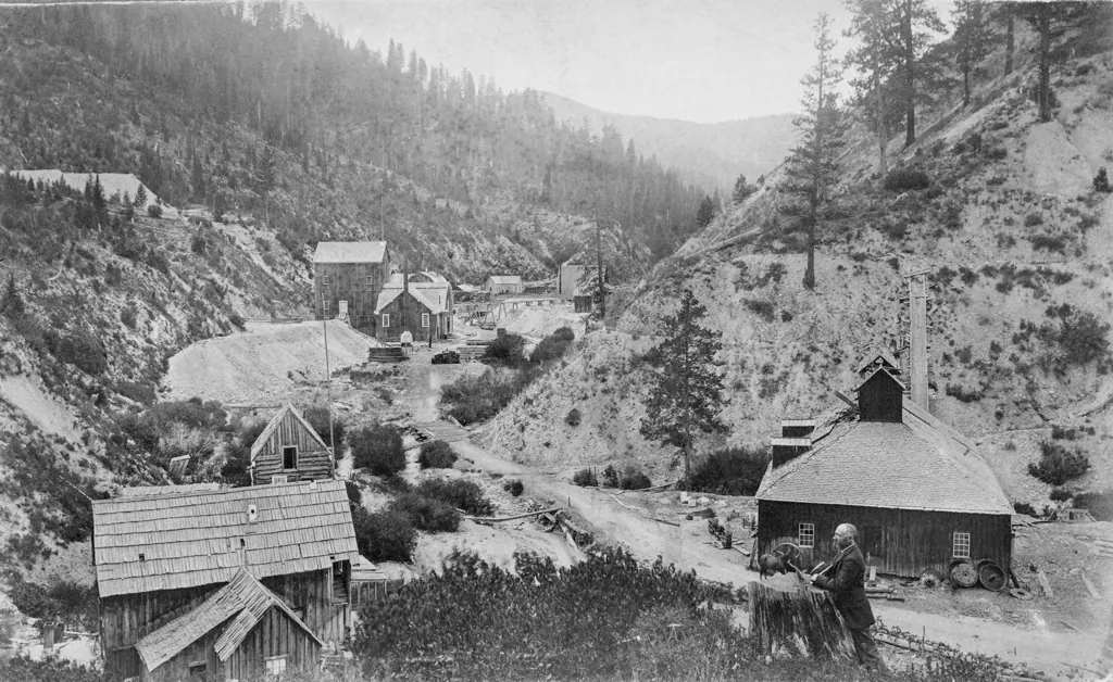 Pittsburg and Confederate Star Mines prior to 1884*