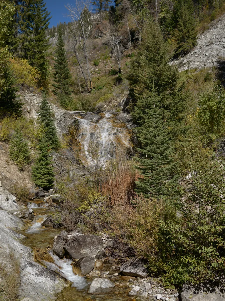 Elk Falls