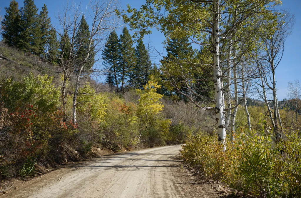 James Creek Road