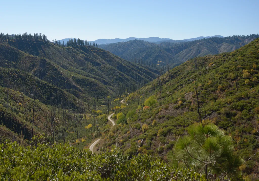 Along Steamboat Creek