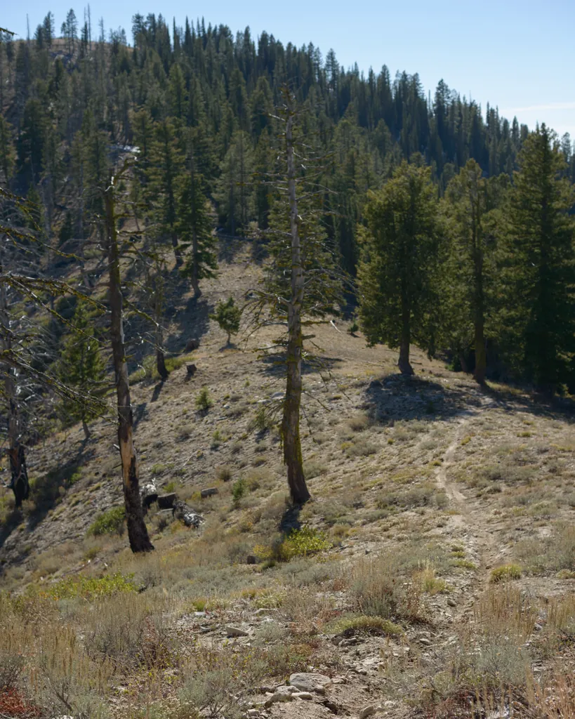 Rabbit Creek Trail