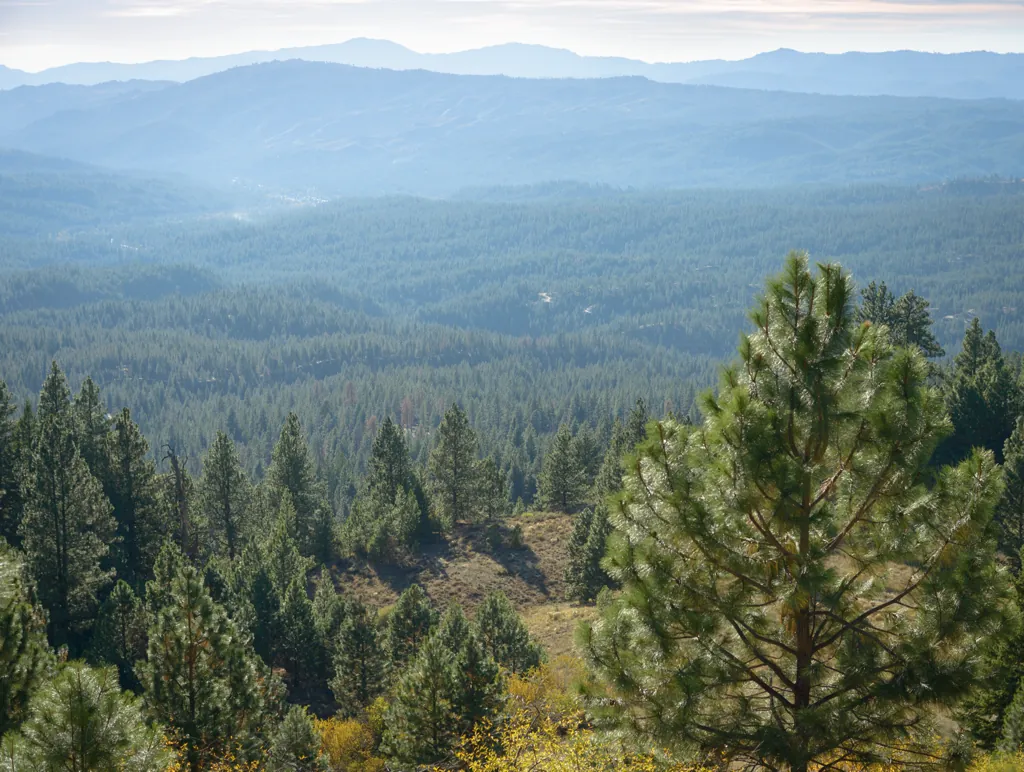Idaho City in the valley