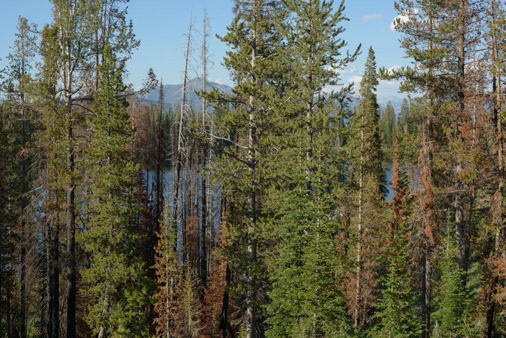 Above the lake
