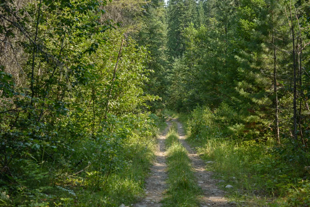 Clearwater Gulch