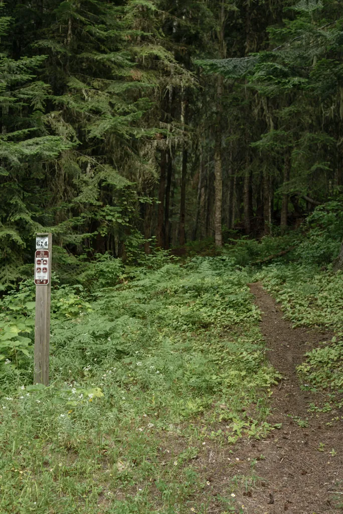 That’s our route?