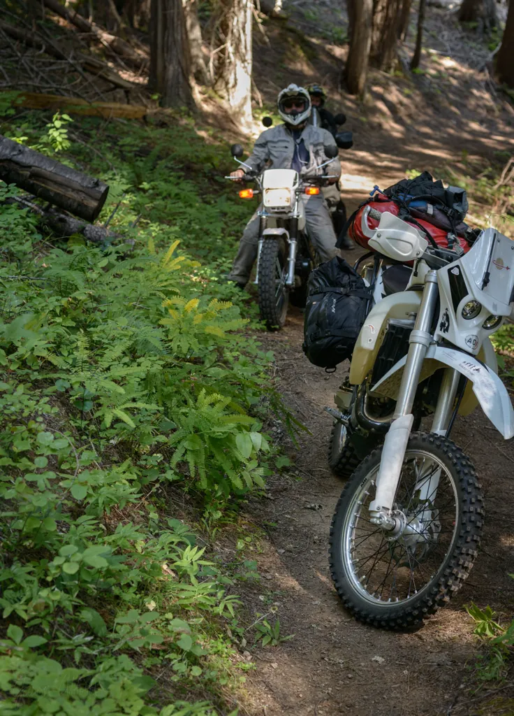 Easygoing Trail 20