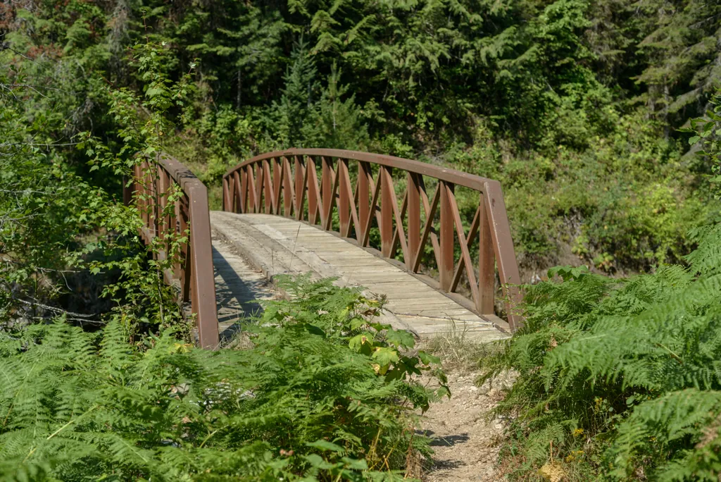 Bridge over Weitas Creek