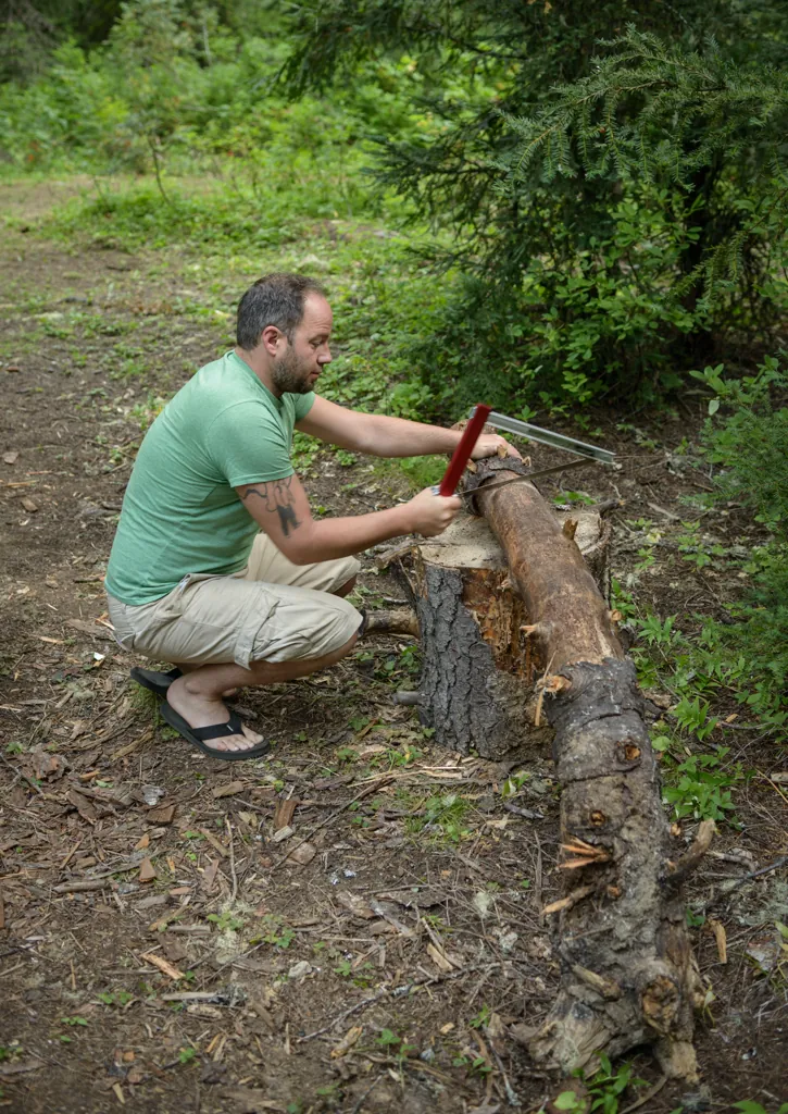 Wood cut