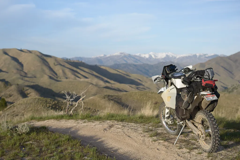 Danskin Trail 301