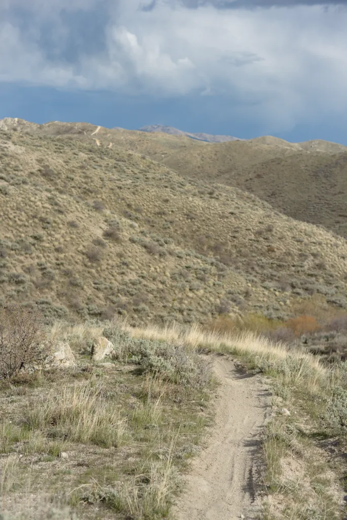 Single track!