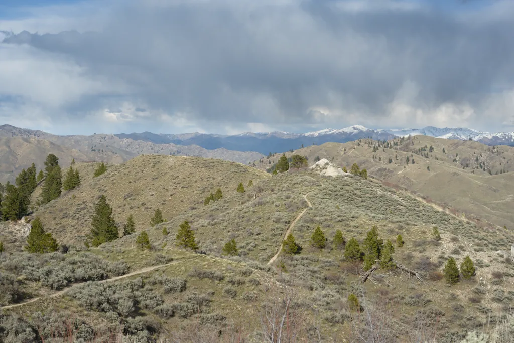 Snowy mountains