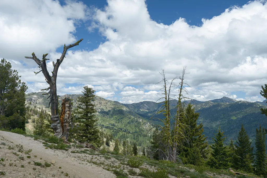 View of Trinity Lookout