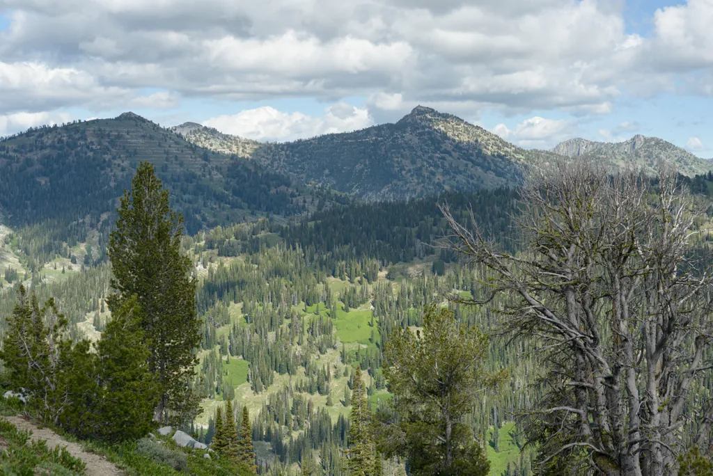 Trinity Lookout
