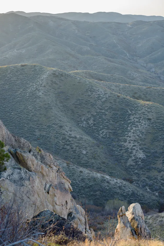 Bare hills