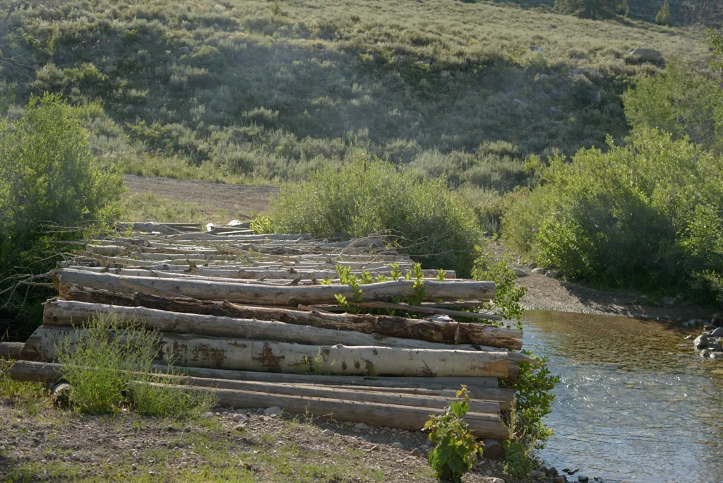 Must be a trick