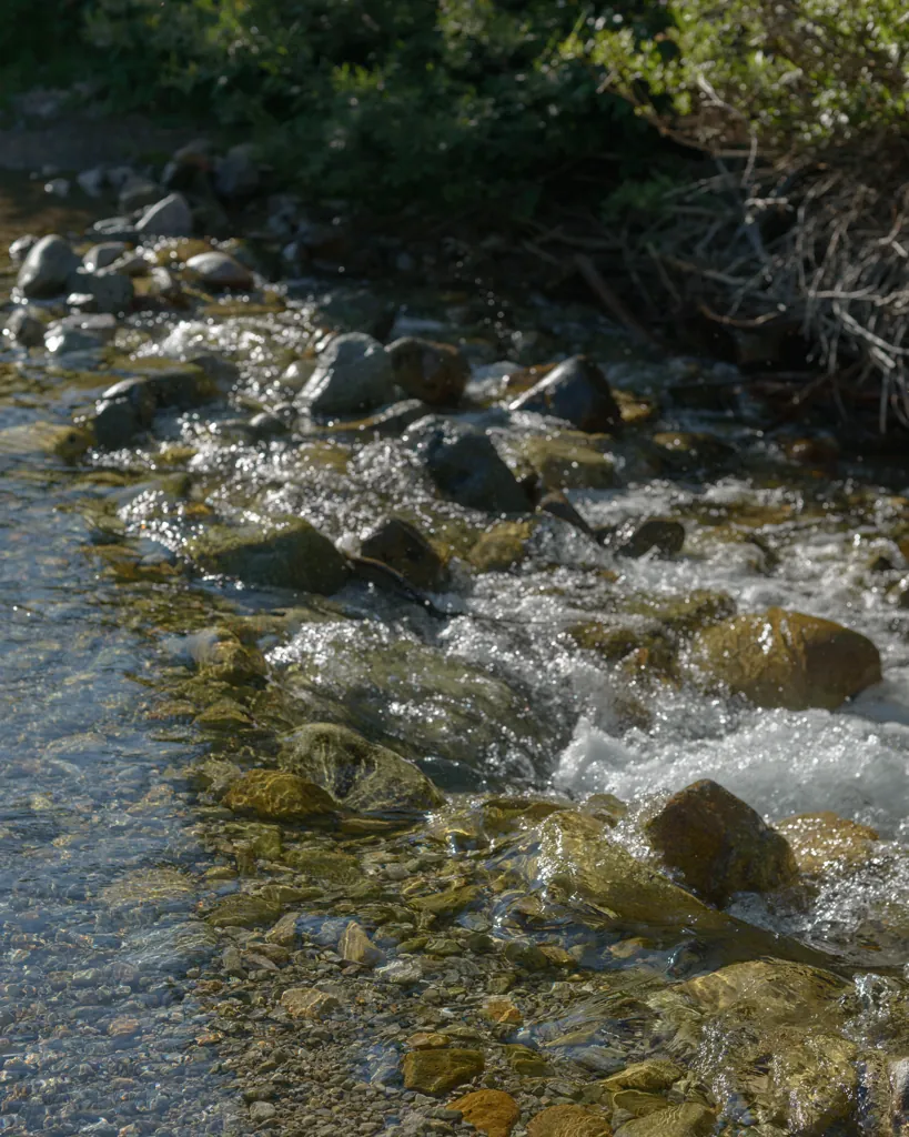 Creek crossing