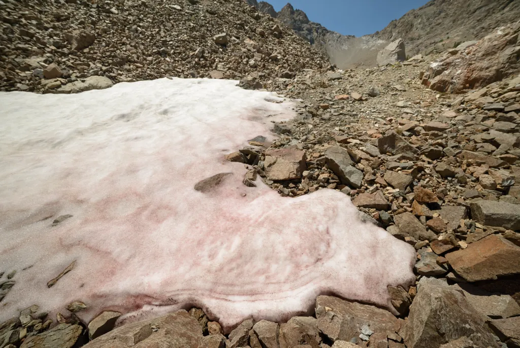 Watermelon snow