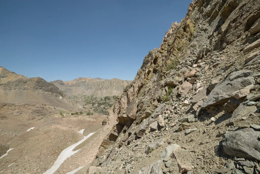 Mountain goats