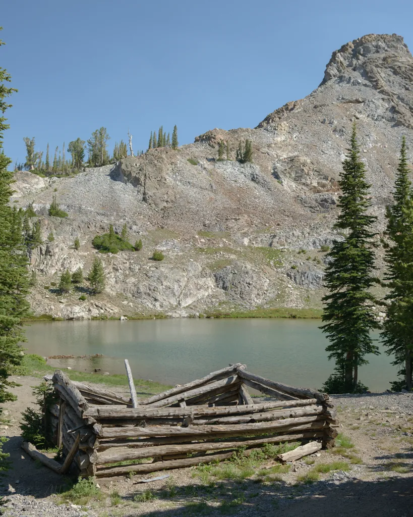 Shoreline cabin