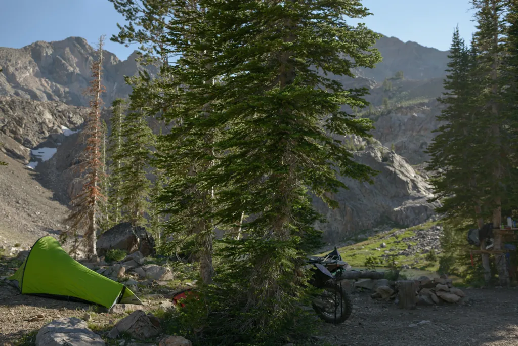 Green bivy