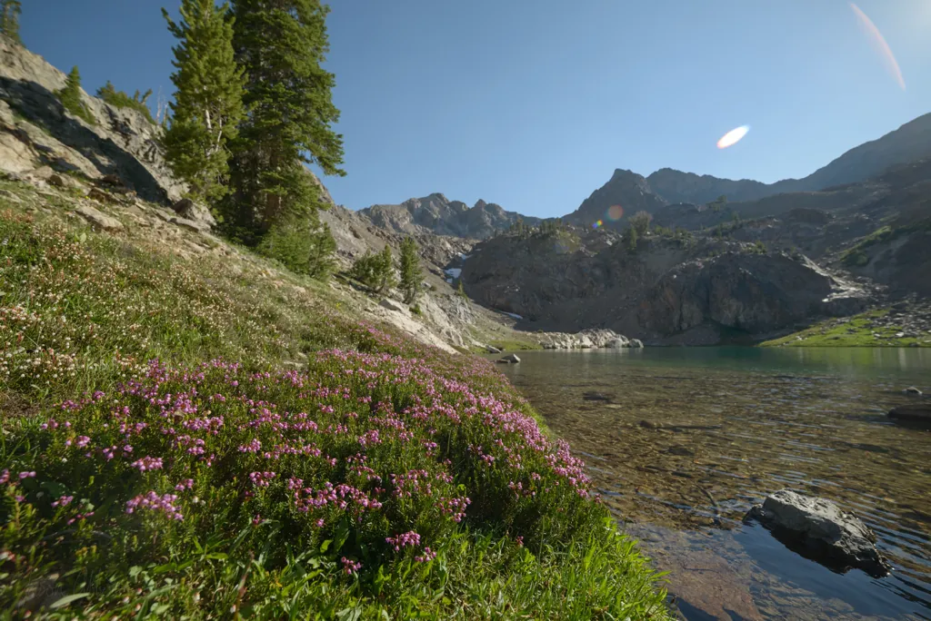 Heather’s edge