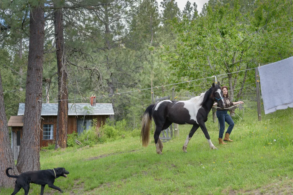 Back to pasture