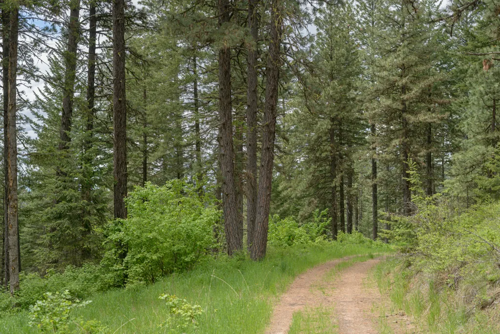 Foothill Road