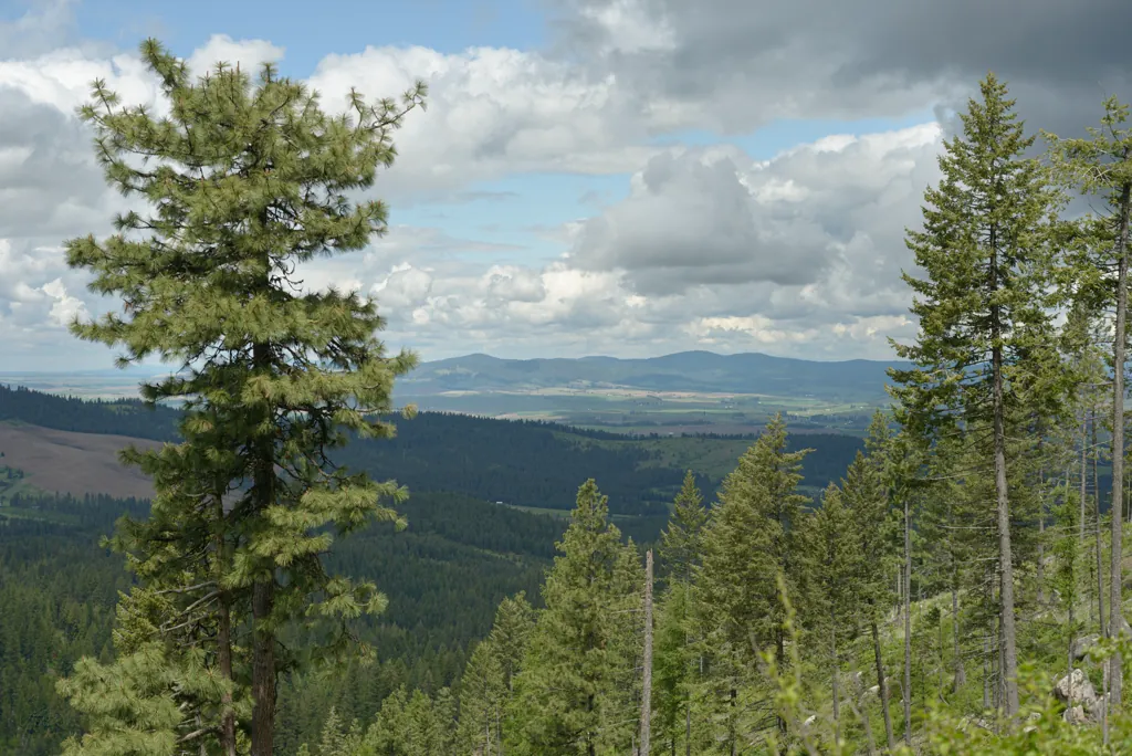 McCroskey from Moscow Mountain