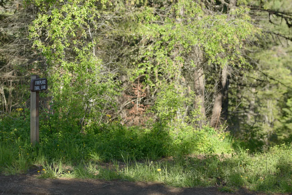 Trailhead