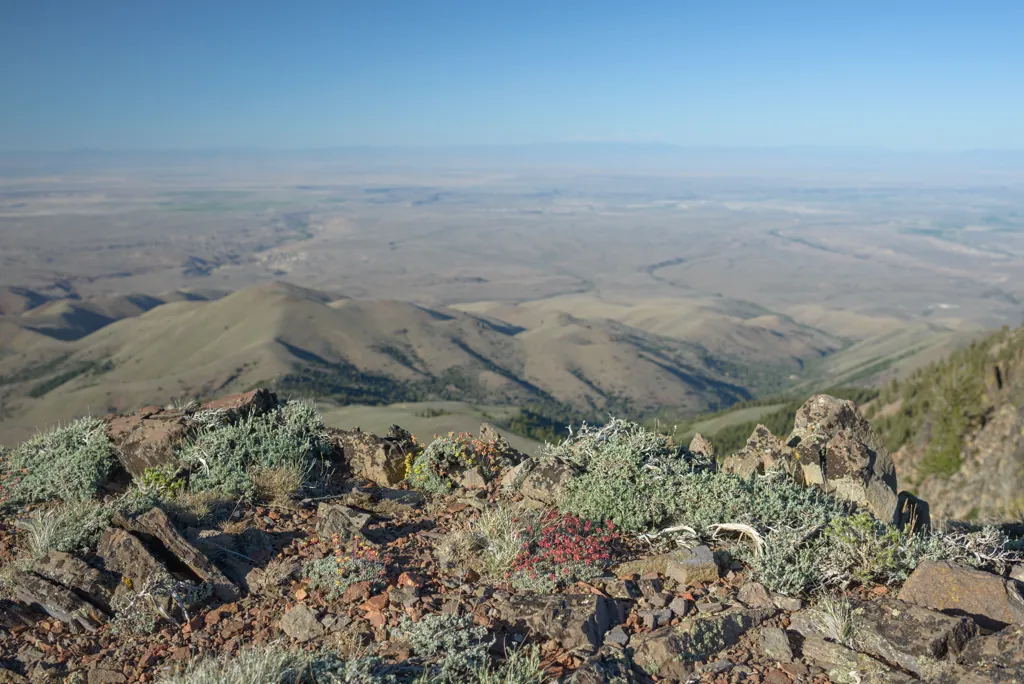 From 8,400 feet