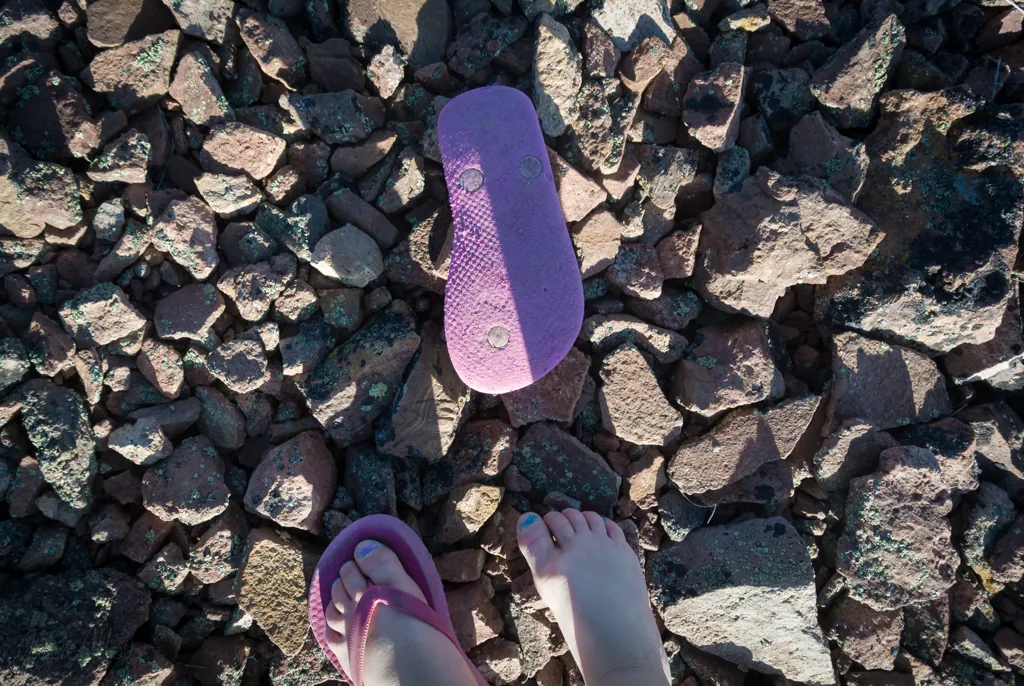 My feet