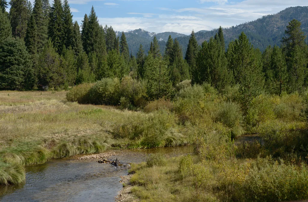 Peace Creek