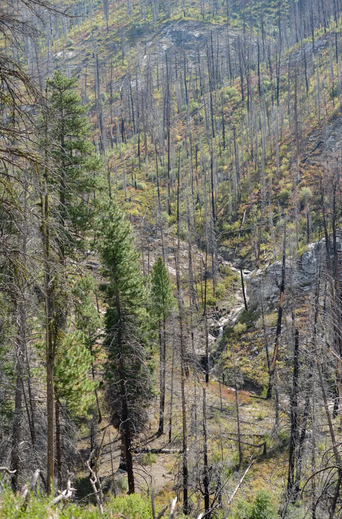 Denuded hills
