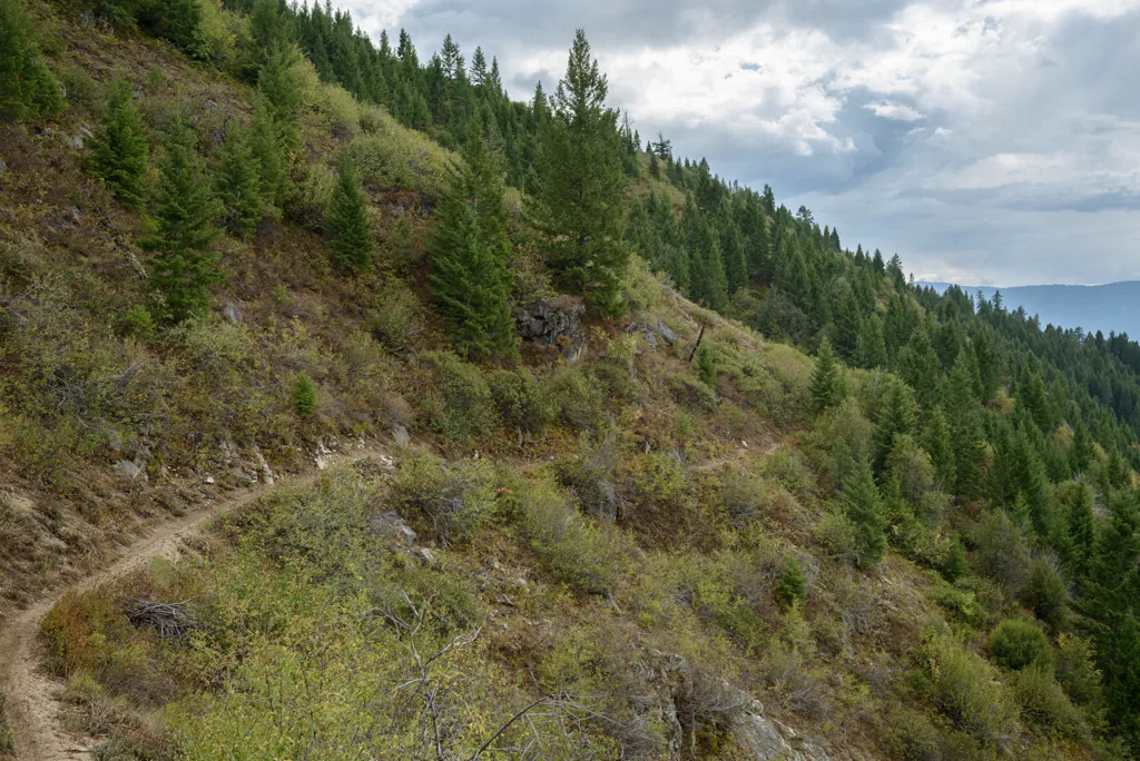 Deadwood Ridge
