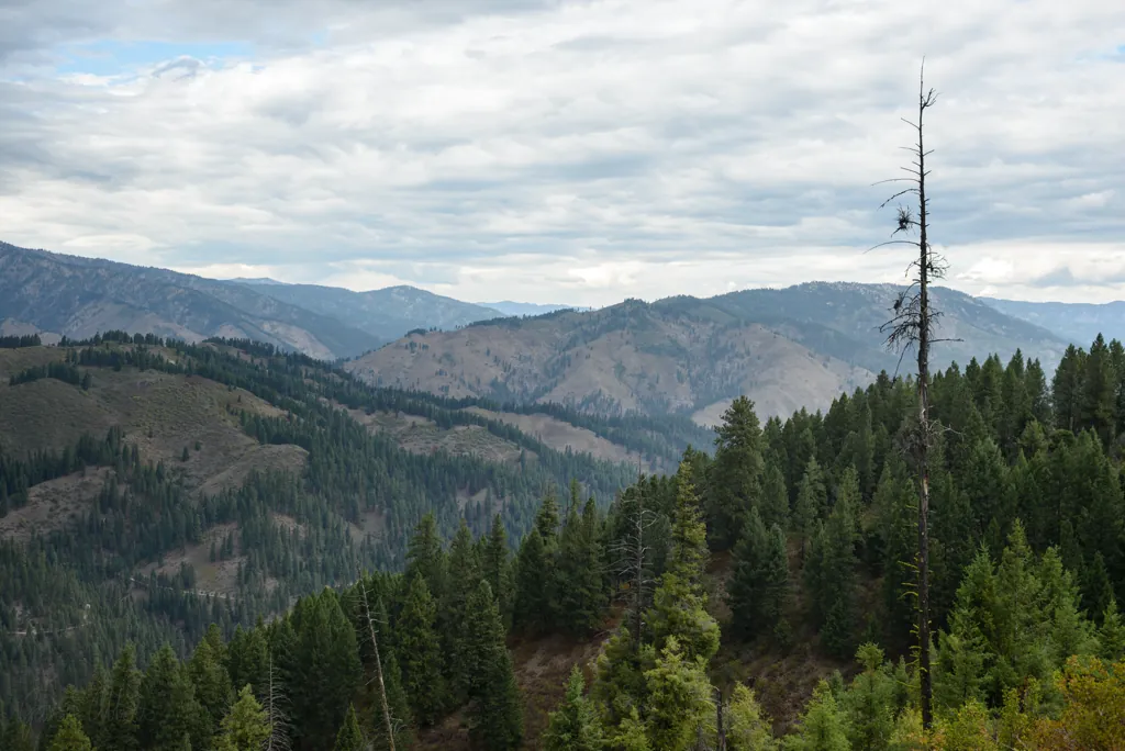 Rock Creek Road overlook