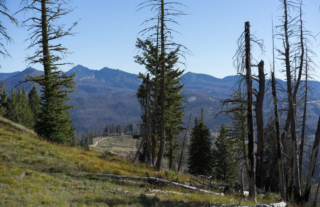 Trinity Ridge