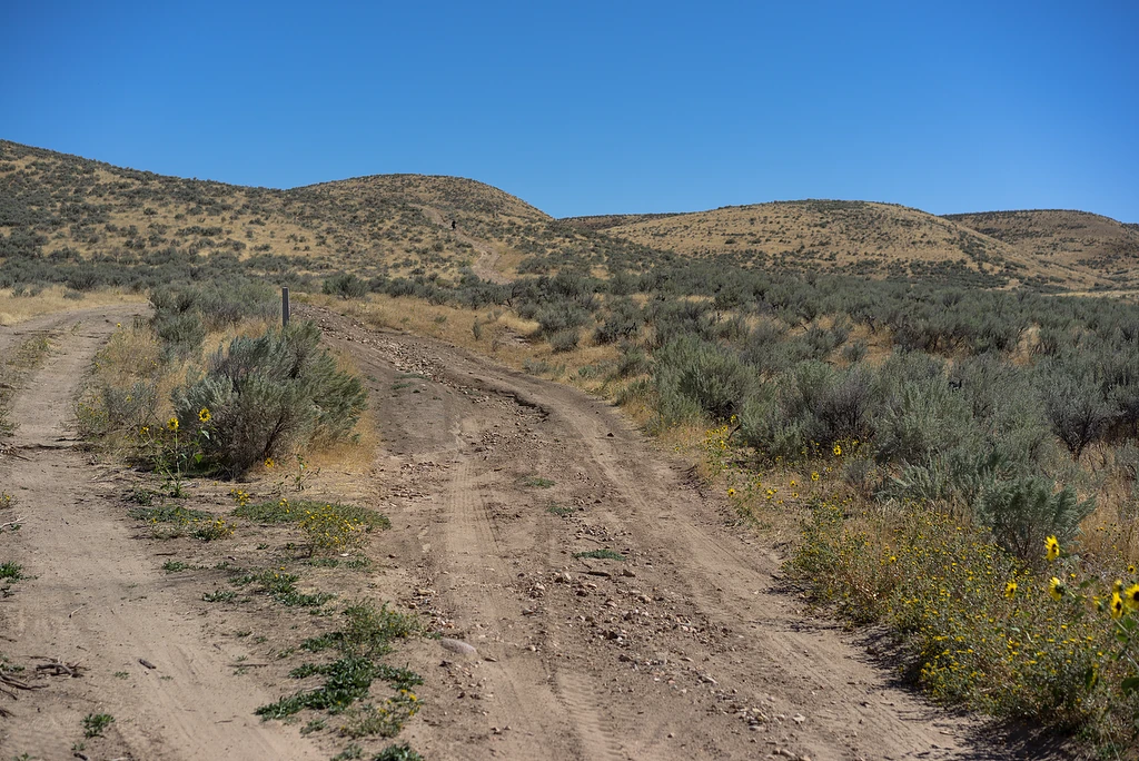 Oregon Trail