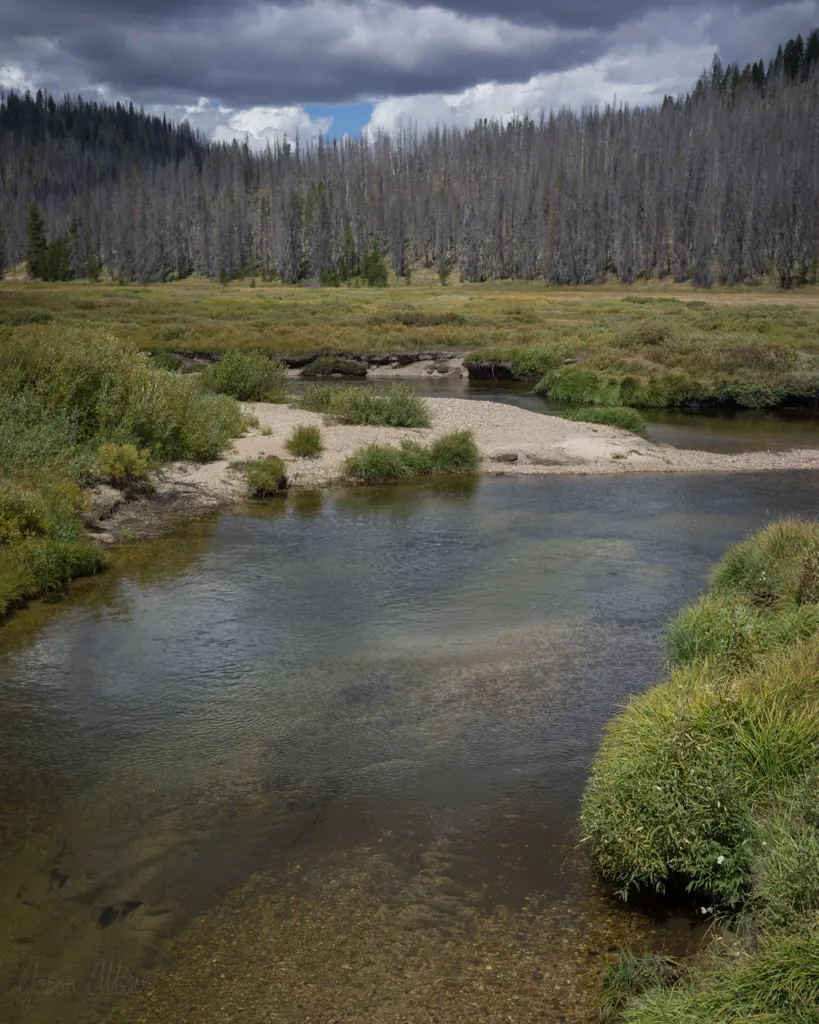 Elk Creek