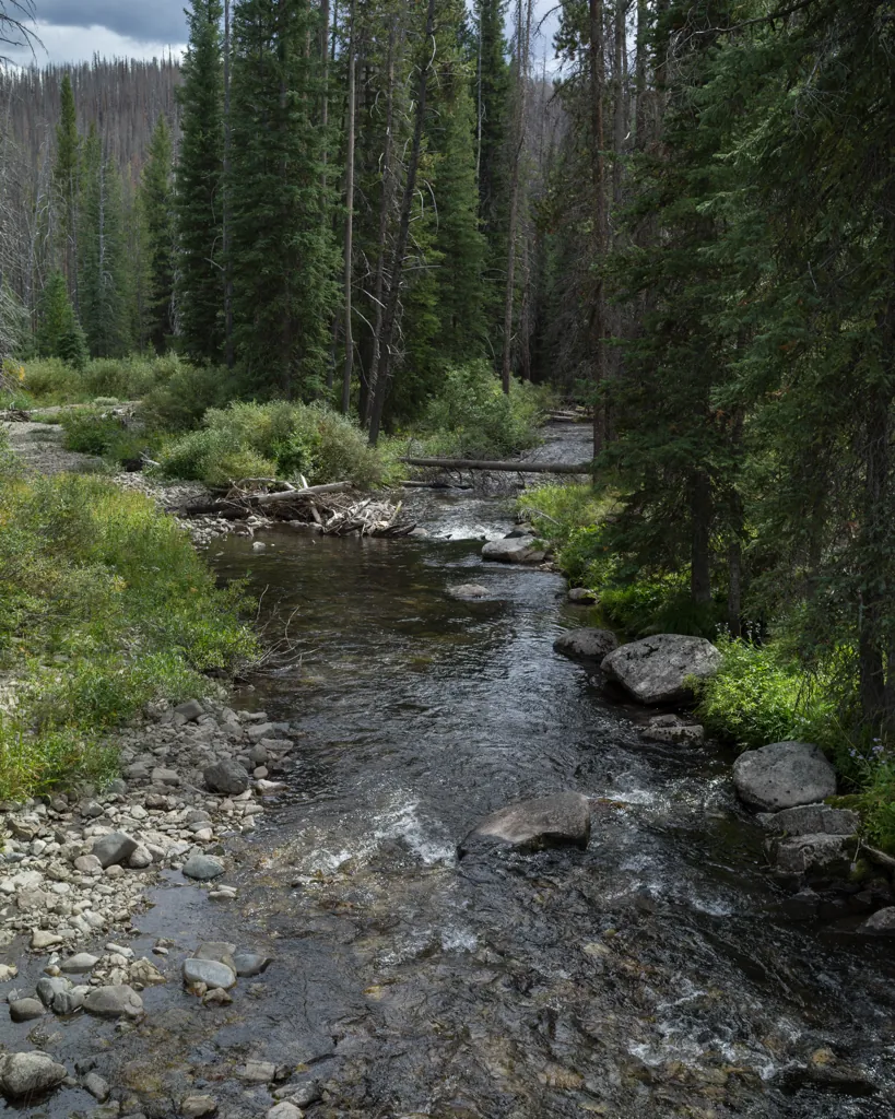 Beaver Creek
