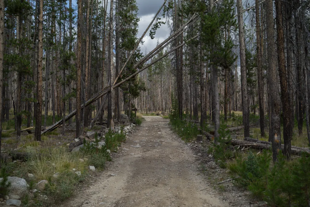 Straight ahead