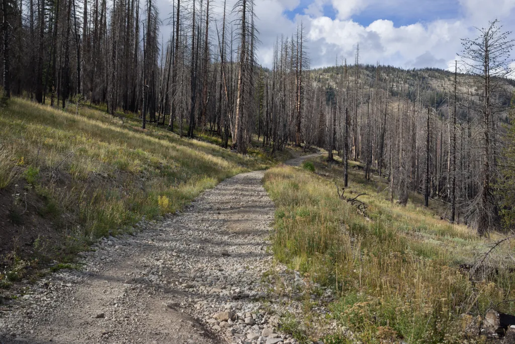 Pinyon Peak Loop Road